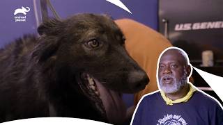 These Prison Inmates Train Rescue Dogs | Pit Bulls & Parolees S11 E4 | Animal Planet India