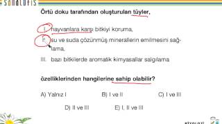 Bitkisel Dokular Ve Organlar Uyg - 1 - U4 - 94123