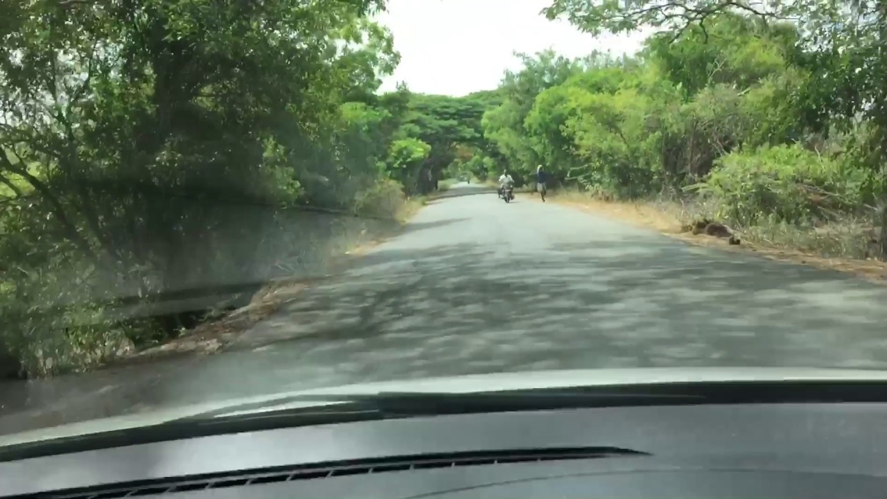 Thanjavur Rice Bowl of Tamil Nadu YouTube