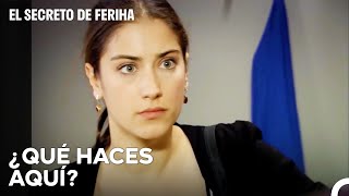 La Casa De Feriha Fue Asaltada - El Secreto De Feriha Capítulo 64