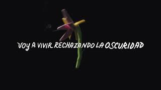 Lido Pimienta - "¿Quién Tiene La Luz? (El Perdón)" (Lyric Video)
