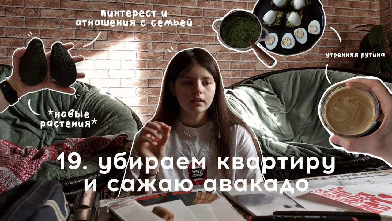 vlog: убираем квартиру | сажаю авакадо | отношения с семьёй (vlog 19 ...