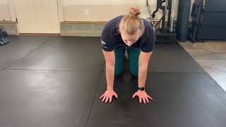 Wrist Flexion/Extension Rocks