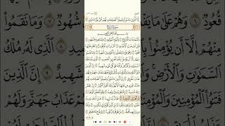 سورة البروج تلاوة الشيخ عبدالمحسن القاسم 1080