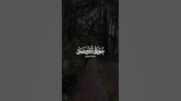 (ان تقول نفس يا حسرتى على ما فرطت في جنب الله) من سورة الزمر، عبدالله السويلم#اكسبلور