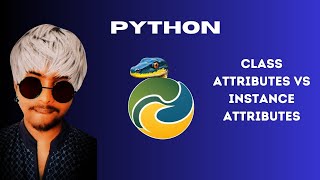 Class Attributes vs Instance Attributes in Python | Class 14