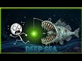 The craziest deep sea creatures at every depth