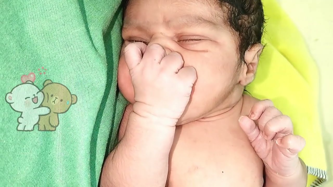 Hungry newborn baby crying for milk| Hungry newborn baby fight for milk