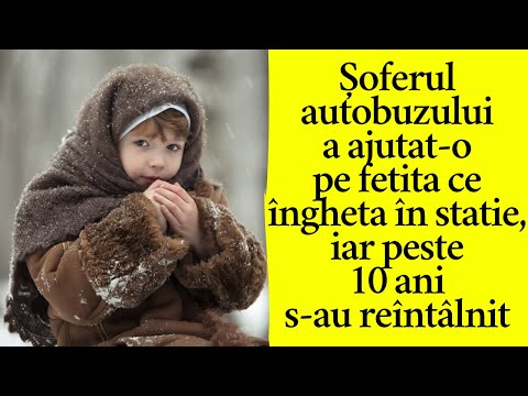 Video: 10 lucruri pe care le-ați (probabil) de a face care vă supără pisica