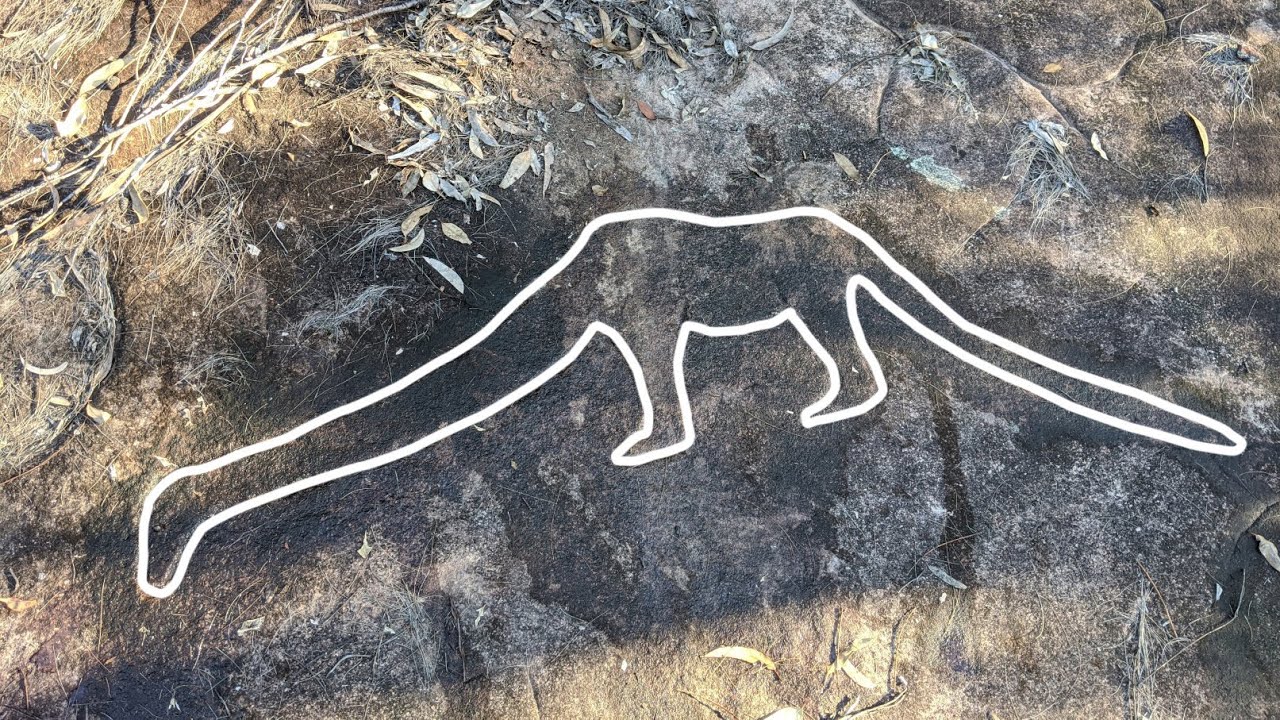 Mysterious 'Dinosaur' Rock Engraving near Sydney YouTube