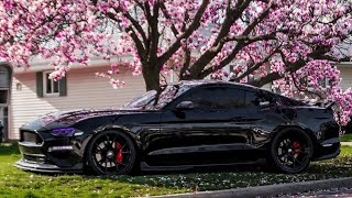 Ford mustang GT 🐎 2015 sound ##viral #fordmustang #fordmustangt #ford #fordmustangshelbygt500 #cars