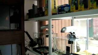 MVI_4182.avi