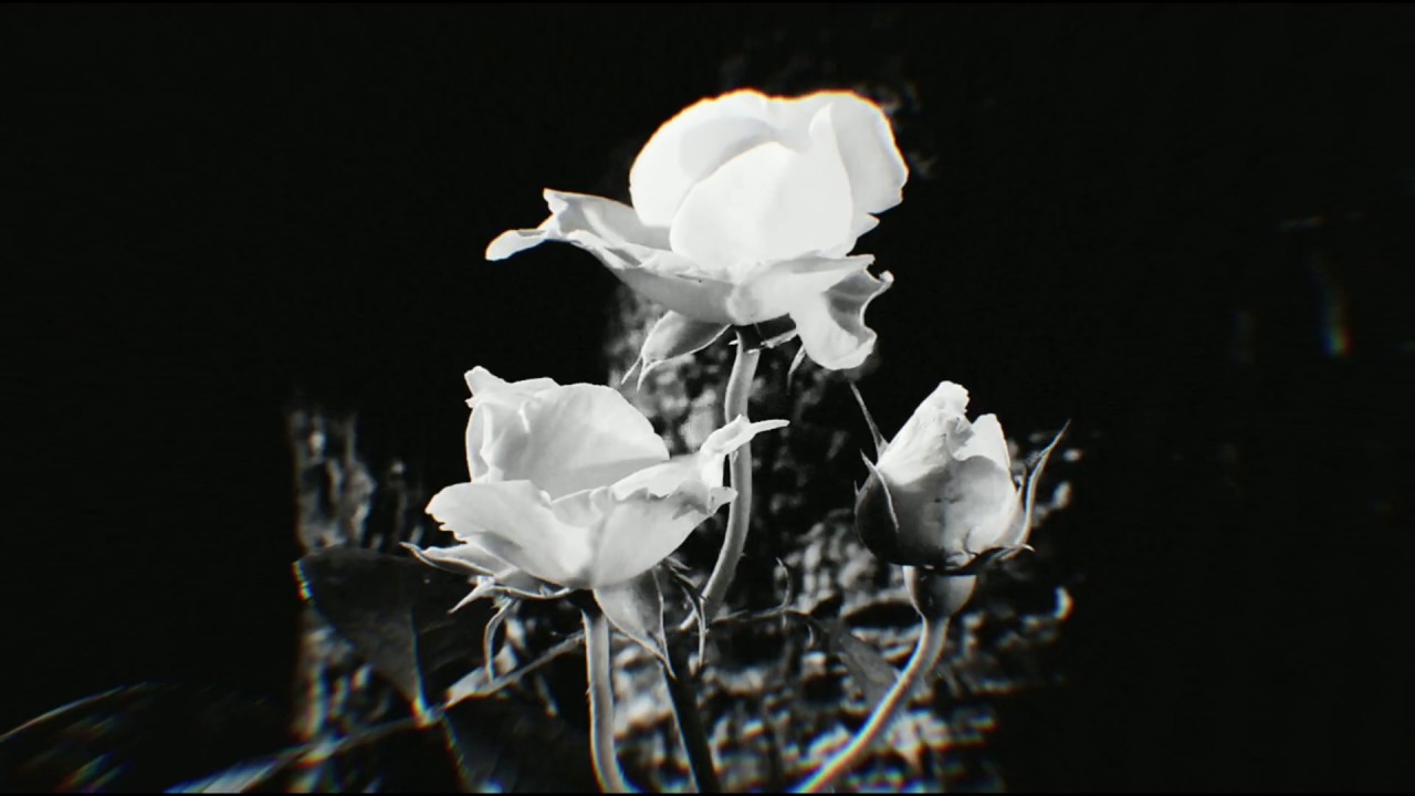 YouTubeでHoldoor - Twist of Fate (Official Video)を視聴 YouTubeでHoldoor - Twist of Fate (Official Video)を視聴
