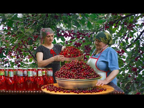 We picked cherries in the village and made cherry juice. - Cherry Harvest in Azerbaijan