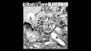 Birdflesh / Slavebreed - Necroacropolis split 7" FULL EP (2015 - Grindcore / Deathgrind)