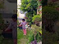 #homegarden #plantcare#gardening#plants #shorts