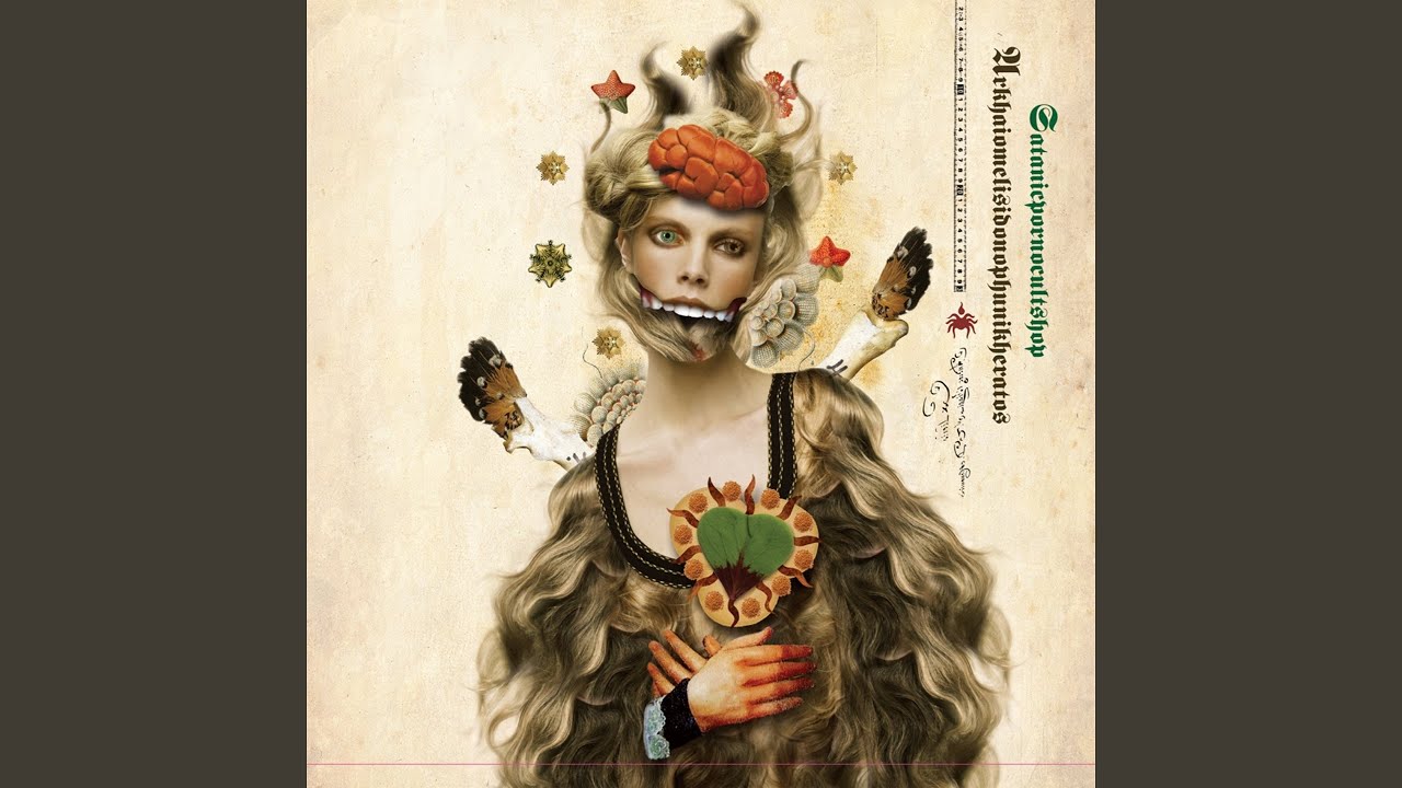 Custom Drum Destroyer