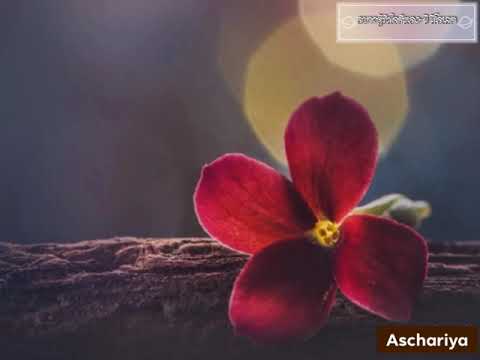 อยากรู้หัวใจตัวเอง-วี วิโอเลต