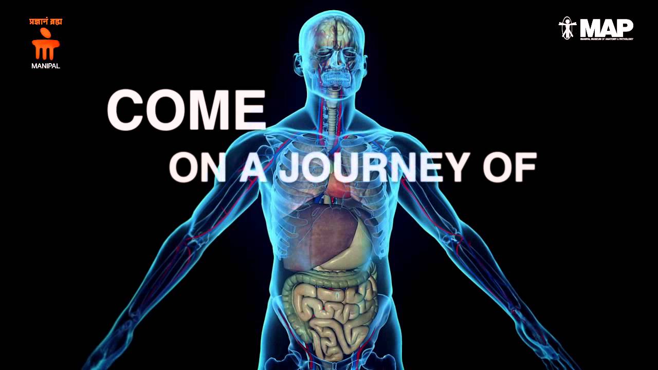 Manipal Anatomy and Pathology Museum