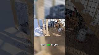 Cold Starts: Don't Shut It Off Right Away!!