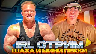 видео: IRL СТРИМ С ТРЕНАЖЕРКИ ШАХА И МИНИ ПЕККИ | ШАХ И МИНИ ПЕККА ТРЕНИРУЮТСЯ В ЗАЛЕ картинка: IRL СТРИМ С ТРЕНАЖЕРКИ ШАХА И МИНИ ПЕККИ | ШАХ И МИНИ ПЕККА ТРЕНИРУЮТСЯ В ЗАЛЕ