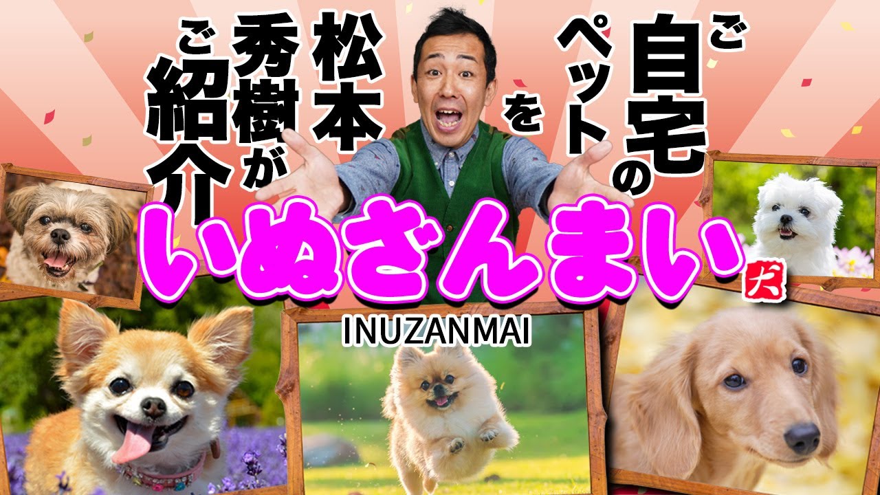 犬好き必見 誰もが笑顔になる 可愛いワンコニュースが盛り沢山 動物がかわいいyoutube動画はここだ