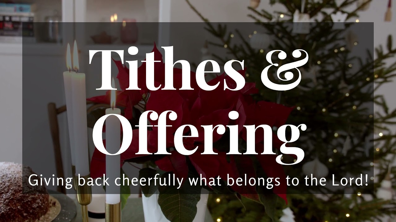 Tithes And Offering Loops Christmas Edition Church Background Standby tithes-and-offering-loops-christmas-edition-church-background-standby