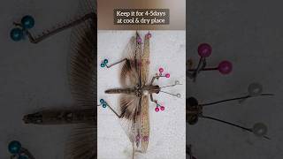 Pinning Locust Specimen #animals #nature #shorts