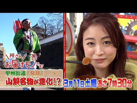 『所さんお届けモノです!』3/11(土) 甲州街道で新名物探し 第9弾!! 山梨名物が進化!?【TBS】