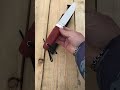Рабочий нож «Универсал»|сталь NIOLOX - 5300 рублей