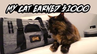 THIS VIDEO EARNED MY Cat $1000...TOURIT Pet Carrier Promo - Airport Approved Cat / Dog Bag