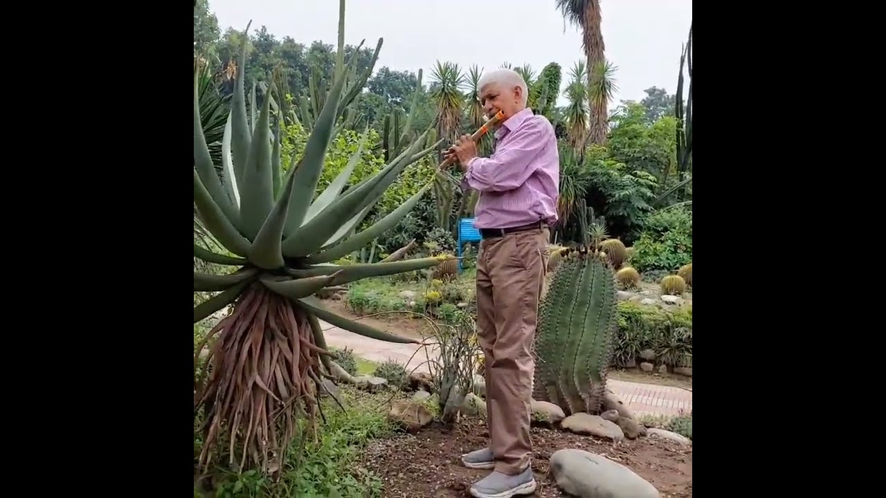 @Rish Rd(Rudra Datta)Flute tune for:मैं पाग़ल मेरा मनवा पाग़ल,पाग़ल मेरी प्रीत रे, पगलेपन की पीड़...