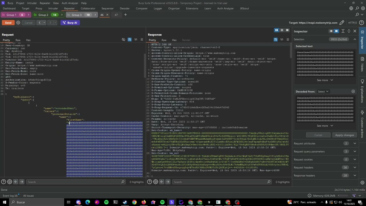 Improper input validation to dos