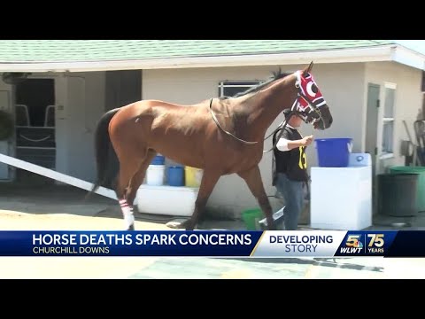 Video: Kentucky Derby veterinaarid, kes on pühendunud hobuste hoidmisele rassi ajal