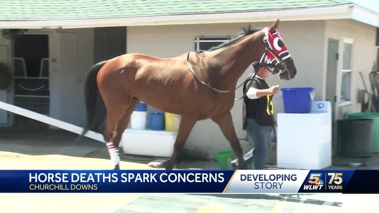 Horse deaths ahead of Kentucky Derby spark concerns YouTube
