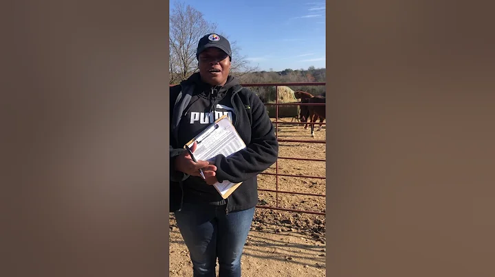 US Army MAJ Cassie Dailey explains her Camp Cowboy...