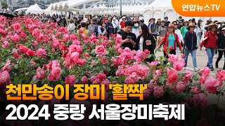 천만송이 장미 '활짝'…2024 중랑 서울장미축제 / 연합뉴스TV (YonhapnewsTV)