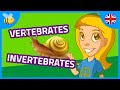Understanding Skeletons and Movement