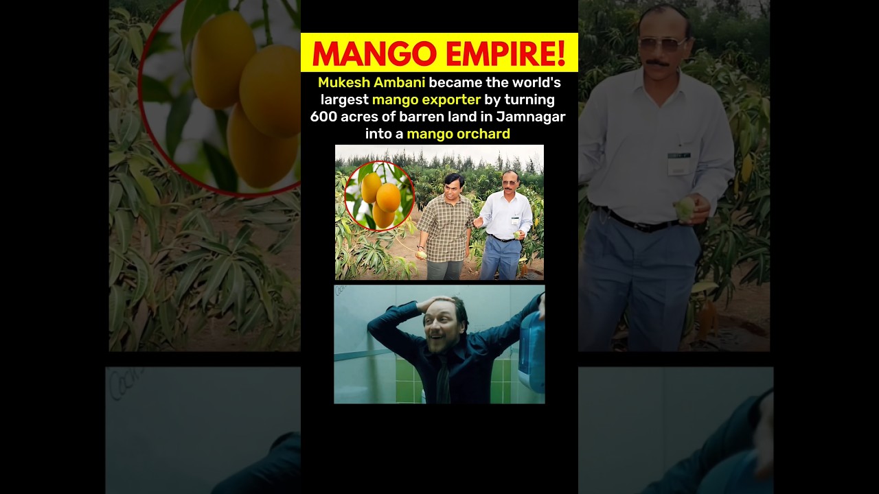 Mukesh Ambani’s 600-Acre Mango Empire in Jamnagar | World’s #1 Mango Exporter 🌏🥭