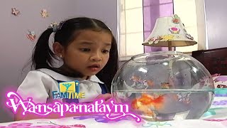 Si Pam Pabaya at ang Mahiwagang Gold Fish  | Highlights | Wansapanataym | FamTime