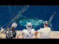 Reeling in 13 tons of blue marlin in 7 days  azores leg 6 trip 22