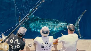 Reeling in 13 tons of Blue Marlin in 7 Days! (Azores, Leg 6, Trip 2.2)