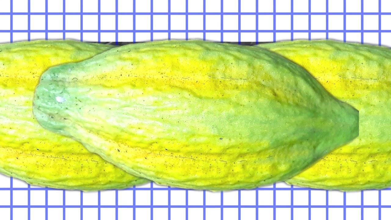 Anuttama Farm to Bar Artisanal Chocolates