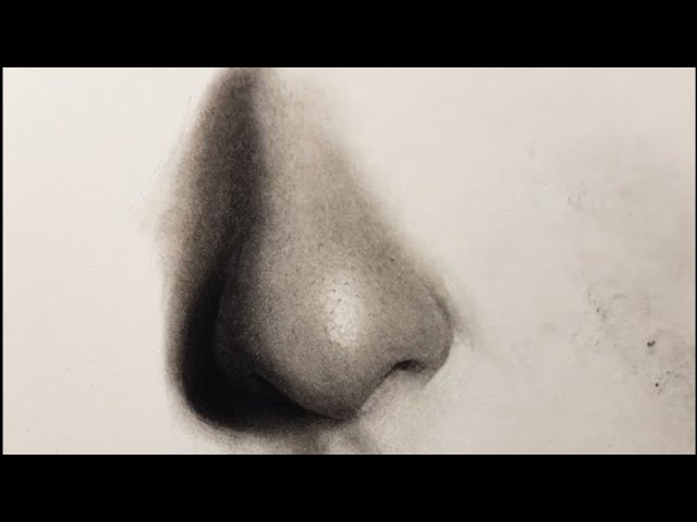 Human Nose Black And White