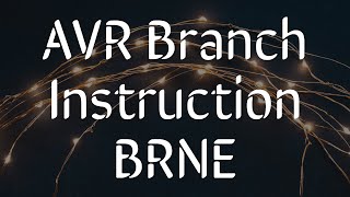 AVR Branch Instructions - BRNE