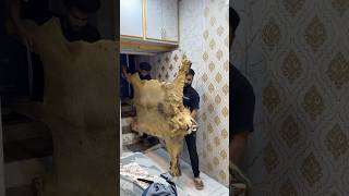 Simba was my firstlion😭#ytshorts #sad #death #lion #viral #youtubeshorts #india #simba #shorts #yt