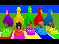 Long Slide Game with Cow Elephant Gorilla Hippopotamus Tiger 3d Animal Game Funny 3d Animals