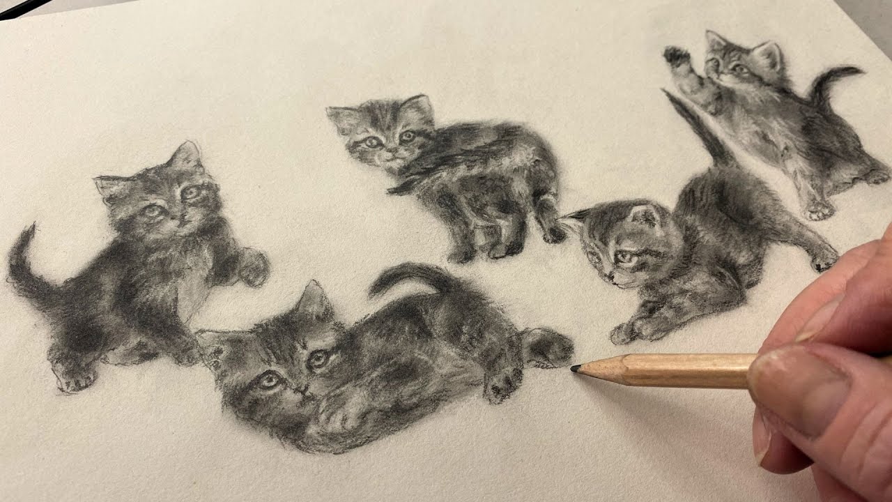 Drawing a Kitten in Motion | Graphite Dynamic Poses Drawing - YouTube