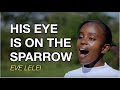 His eye is on the sparrow / Eve Lelei