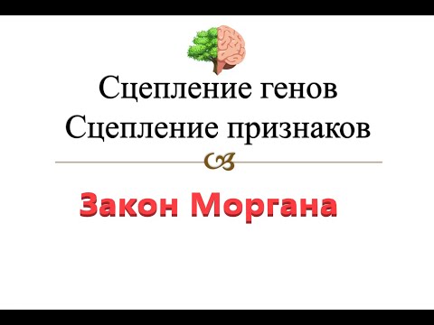 Урок 32 Сцепленное наследование генов